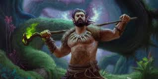 Image result for druid