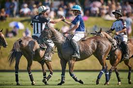 Image result for Cowdray Park Polo Club