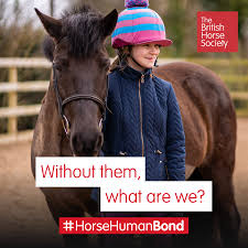 Image result for British Horse Society