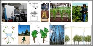 Image result for Meir Heath Cc