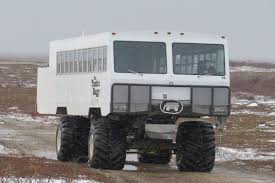 Image result for tundra buggy