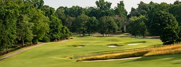 Image result for Gosfield CC