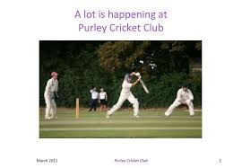 Image result for Purley Cricket Club