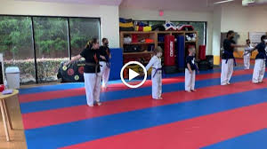 Image result for Suwanee Martial Arts Center