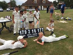 Image result for Ickwell Cricket Club