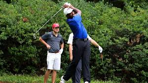 Image result for Alford Bowling Club