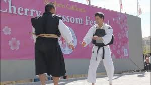 Image result for Imperial College Shorinji Kempo Society
