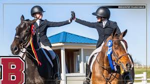 Image result for Weybridge Equestrian Centre