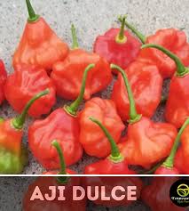 Afbeeldingsresultaat voor aji dulce sweet pepper