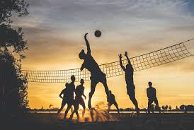 Image result for Hartlepool Volleyball Club