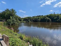 Image result for Ynysygerwn Cricket Club