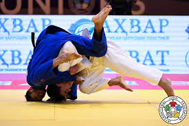 Image result for Arun Southcoast Judo Club.