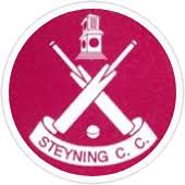 Image result for Steyning Cricket Club