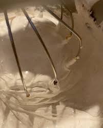 Image result for Phoenix Smbc