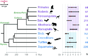 Image result for genome sizes