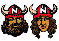 Image result for North East Vikings