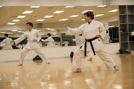 Image result for Shitokai Karate Club
