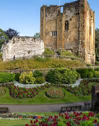 Image result for Guildford Sc