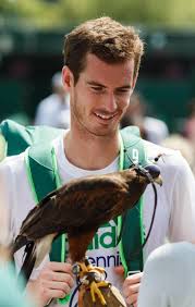 Image result for Wimbledon Hawks