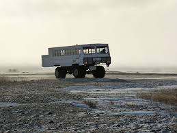 Image result for tundra buggy