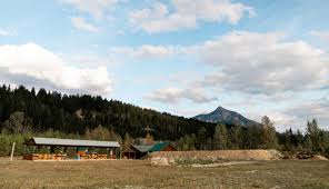 Image result for Guildford and District Gun Club