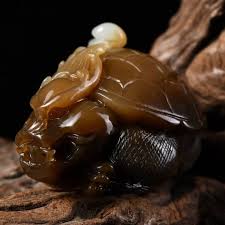 Αποτέλεσμα εικόνας για jade dragon turtle