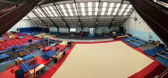 Image result for York University Gymnastics Club