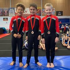 Image result for Bulmershe Gymnastics Club
