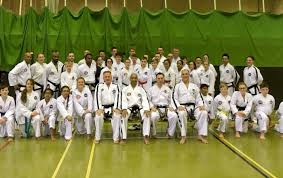 Image result for Swindon Tagb Tae Kwon Do School