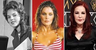 Attēlu rezultāti vaicājumam “Licea pusilla young”