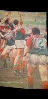 Image result for Tredegar Ironside Rugby Football Club