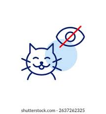 Image result for invisible cat