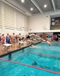 Image result for York University Pool Club