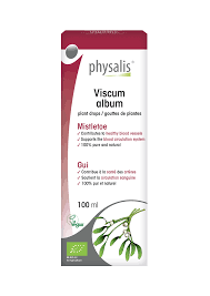 Attēlu rezultāti vaicājumam “Viscum album fruit”