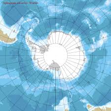 Attēlu rezultāti vaicājumam “Sphagnum russowii”