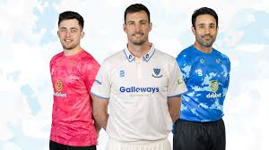 Image result for Sussex County Cricket Club