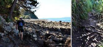 Image result for new chums beach