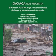 Image result for Tormenta Agatha