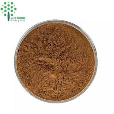 Attēlu rezultāti vaicājumam “Viscum album leaf”