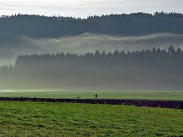 Bild \u0026amp; Foto von Sergej Volz aus Nebelstimmungen - Fotografie ...