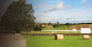 Image result for Thurstonland Cricket Club