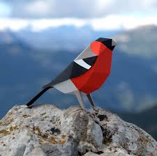 Attēlu rezultāti vaicājumam “Pyrrhula pyrrhula”