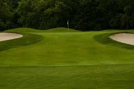 Image result for Flint Golf Club