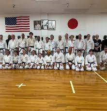 Image result for Henley Shotokan Karate Club