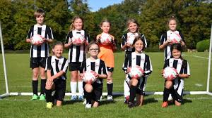 Image result for Sherborne Town Football Club