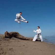 Image result for Thames Valley Karate