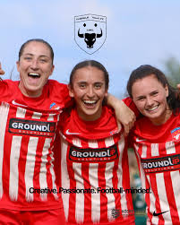 Image result for Cheadle Town Football Club