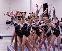 Image result for Elite Recreational Gymnastics Club