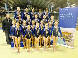 Image result for Tamworth Olympic Gymnastics Club