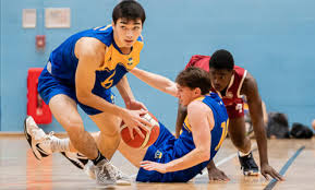 Image result for University Team Bath Bobsleigh Club